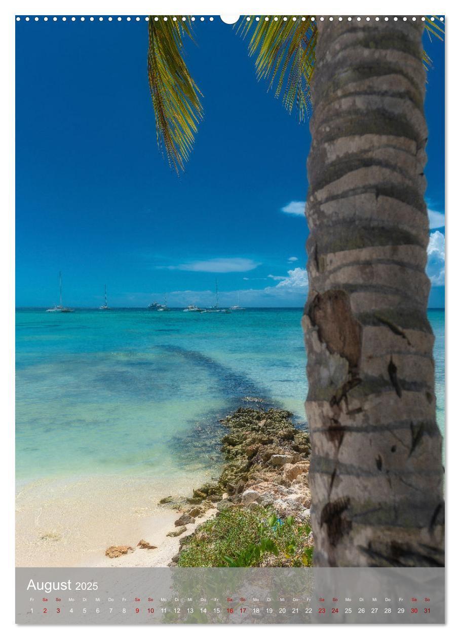 Bild: 9783435915682 | Karibischer Traum Isla Saona (Wandkalender 2025 DIN A2 hoch),...