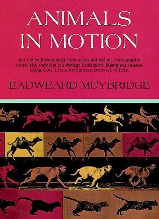 Cover: 9780486202037 | Animals in Motion | Eadweard Muybridge | Buch | Englisch