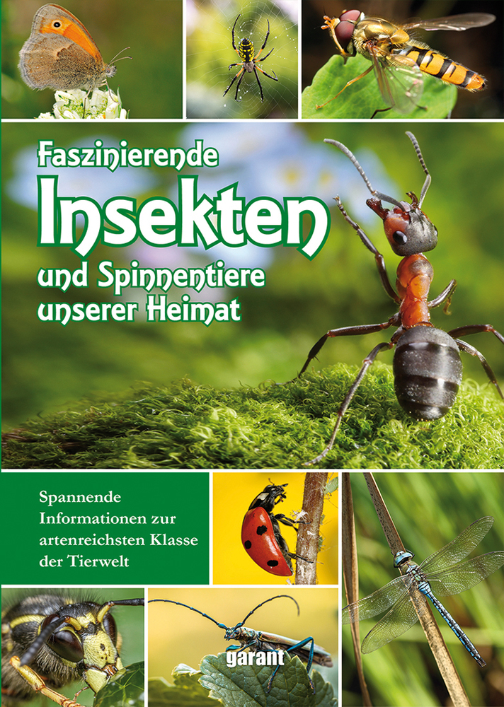 Cover: 9783735919663 | Faszinierende Insekten und Spinnentiere unserer Heimat | Buch | 176 S.