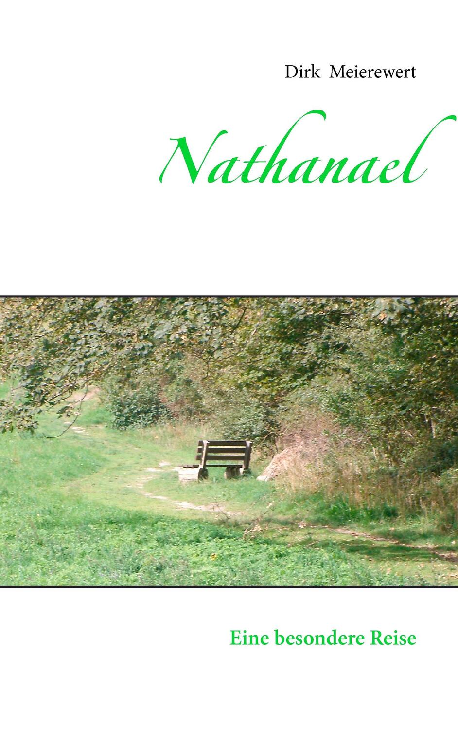 Cover: 9783735794048 | Nathanael | Eine besondere Reise | Dirk Meierewert | Taschenbuch