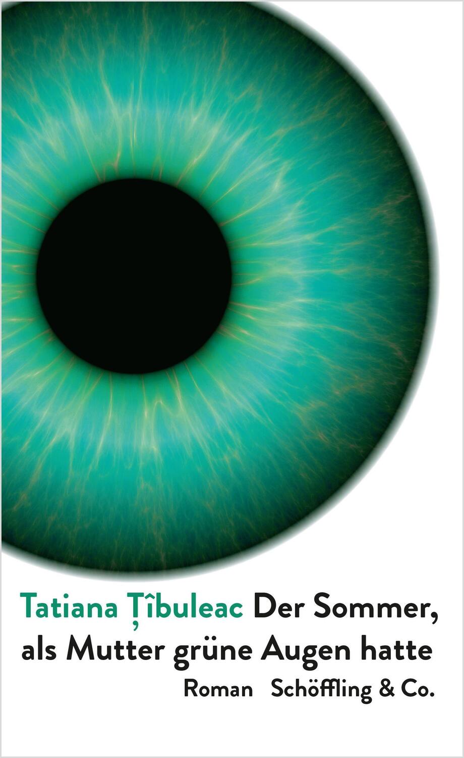 Cover: 9783895612336 | Der Sommer, als Mutter grüne Augen hatte | Roman | Tatiana Tîbuleac