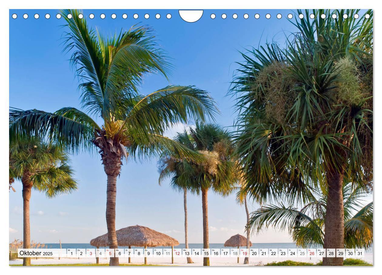 Bild: 9783435820283 | FLORIDA Malerischer Sonnenscheinstaat (Wandkalender 2025 DIN A4...