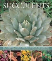 Cover: 9781780193656 | Succulents | Hewitt Terry | Buch | Gebunden | Englisch | 2015