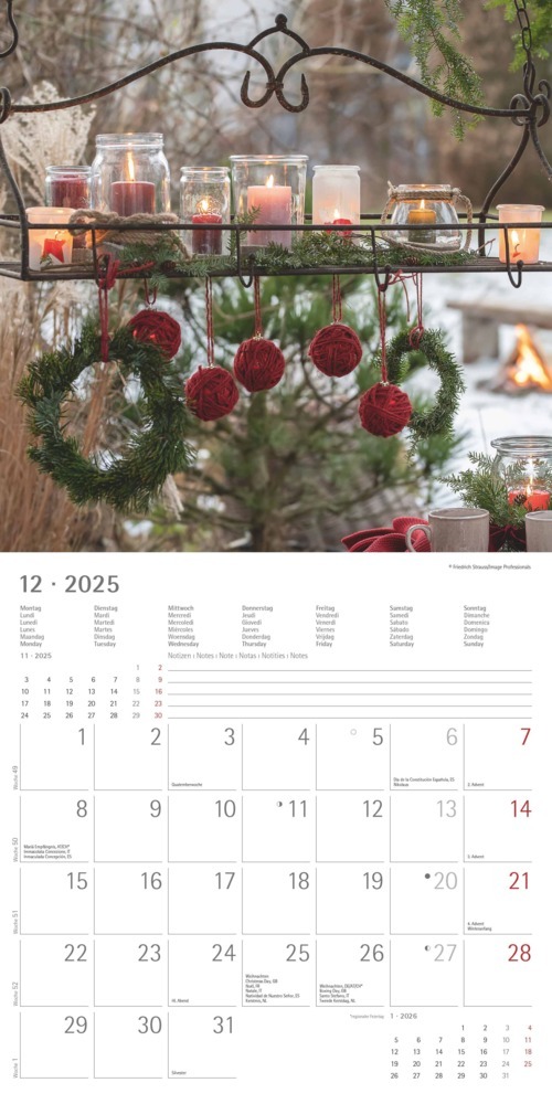 Bild: 4251732340636 | Alpha Edition - Garden &amp; Decoration 2025 Broschürenkalender,...