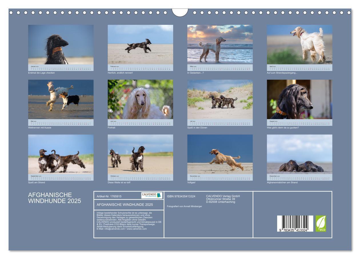 Bild: 9783435413324 | AFGHANISCHE WINDHUNDE 2025 (Wandkalender 2025 DIN A3 quer),...