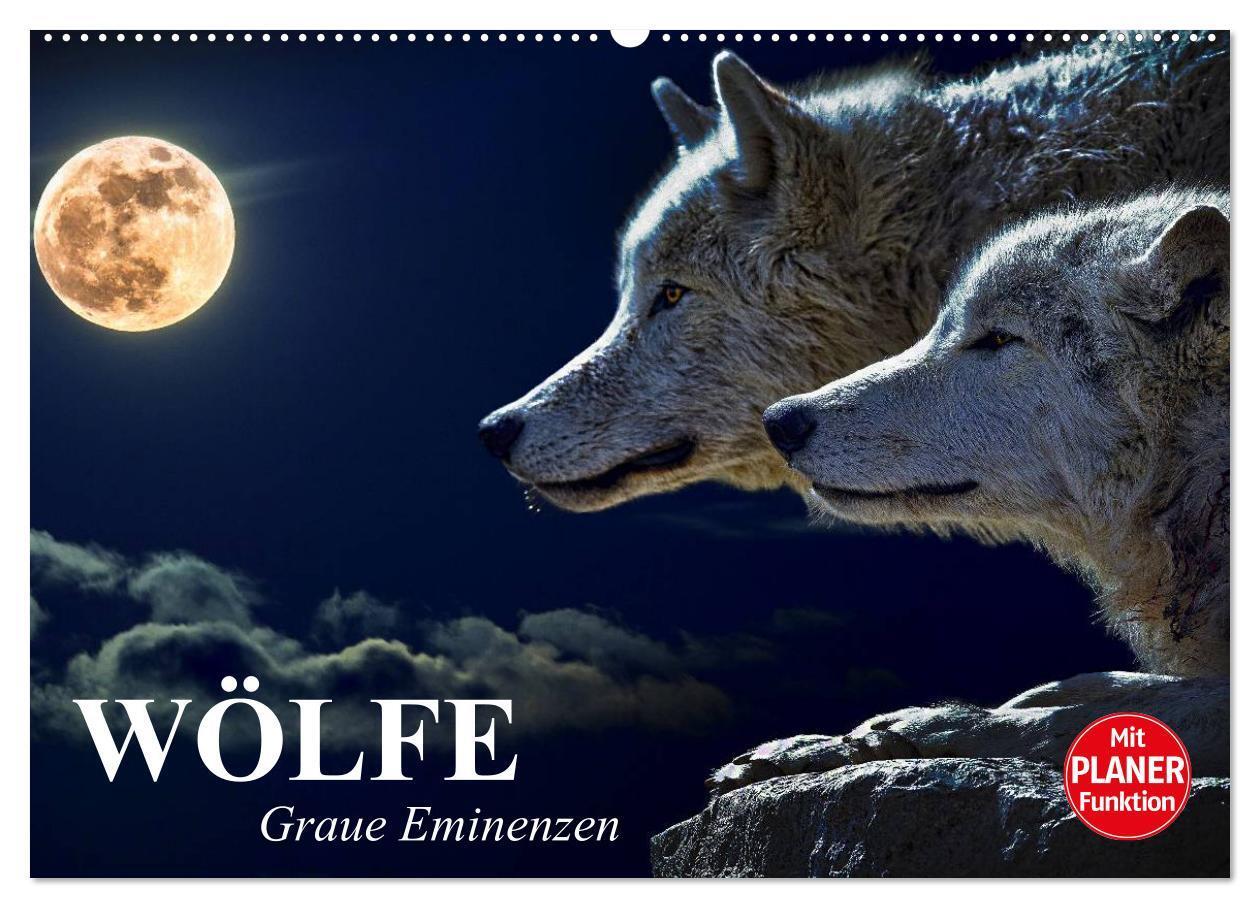 Cover: 9783383312564 | Wölfe. Graue Eminenzen (Wandkalender 2024 DIN A2 quer), CALVENDO...