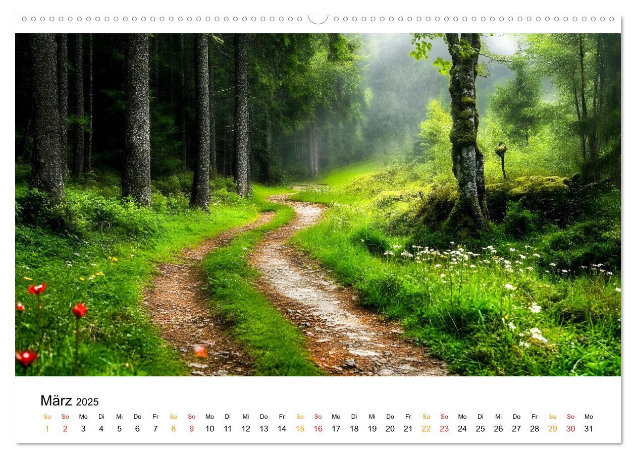 Bild: 9783457224793 | Mystik der Wälder (Wandkalender 2025 DIN A2 quer), CALVENDO...