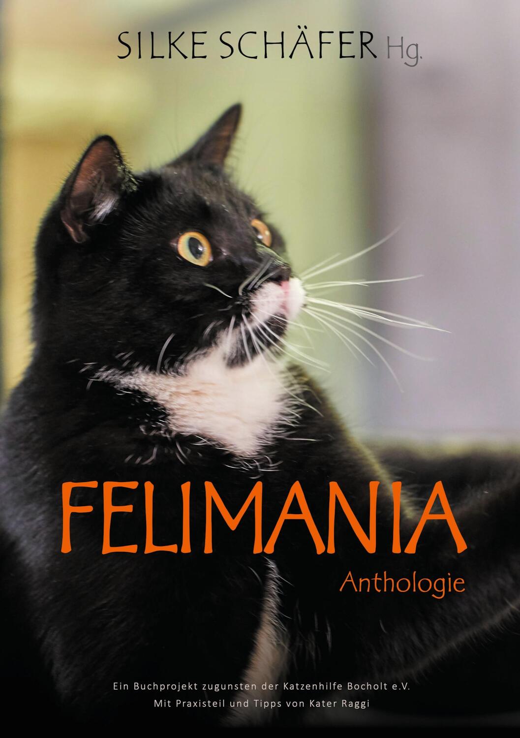 Cover: 9783752643442 | Felimania | Silke Schäfer | Taschenbuch | Books on Demand