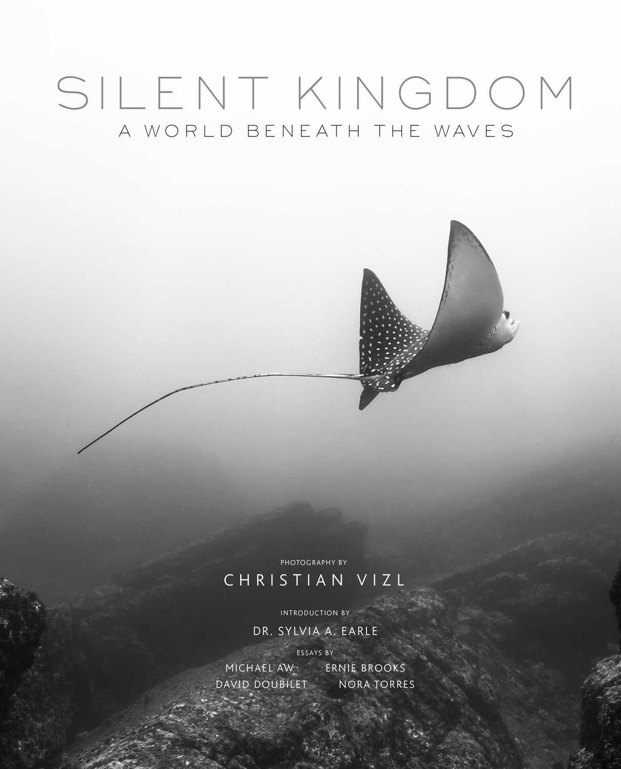 Cover: 9781683835844 | Silent Kingdom | A World Beneath the Waves | Christian Vizl | Buch