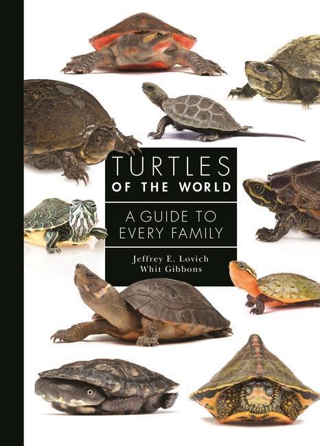 Cover: 9780691223223 | Turtles of the World | A Guide to Every Family | Jeffrey E. Lovich
