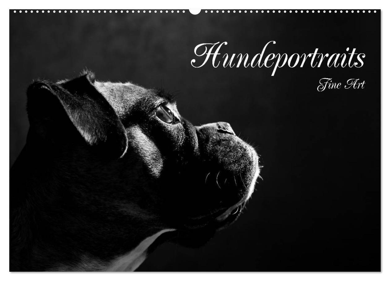 Cover: 9783383219375 | Hundeportraits Fine Art (Wandkalender 2024 DIN A2 quer), CALVENDO...