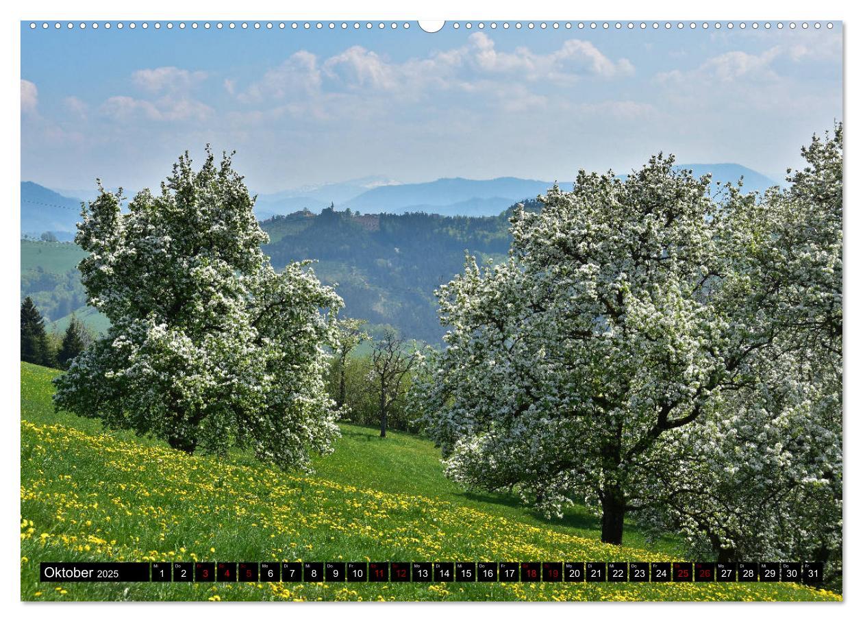 Bild: 9783435287697 | Frühling im Mostviertel (Wandkalender 2025 DIN A2 quer), CALVENDO...