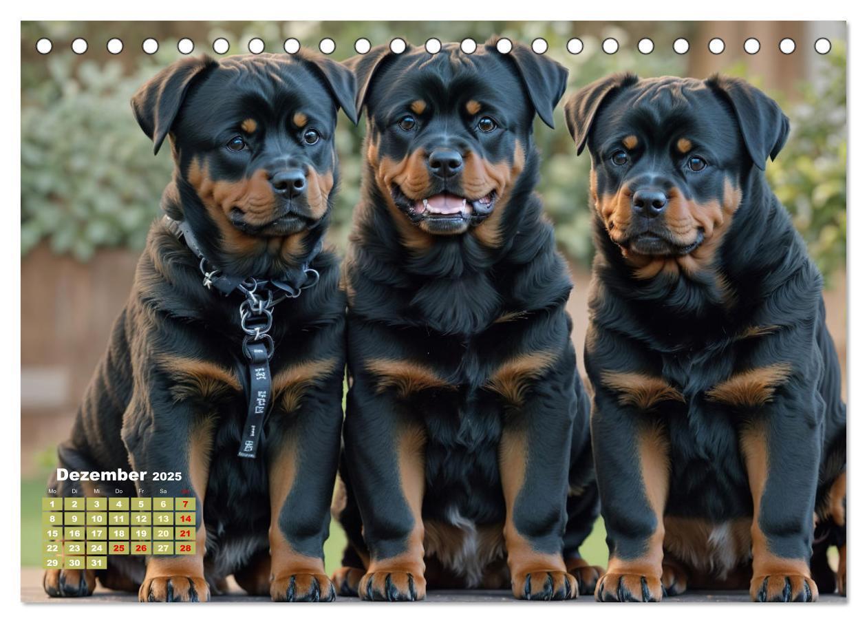 Bild: 9783383846434 | Majestätische Rottweiler: Ein Jahr voller Kraft und Loyalität...