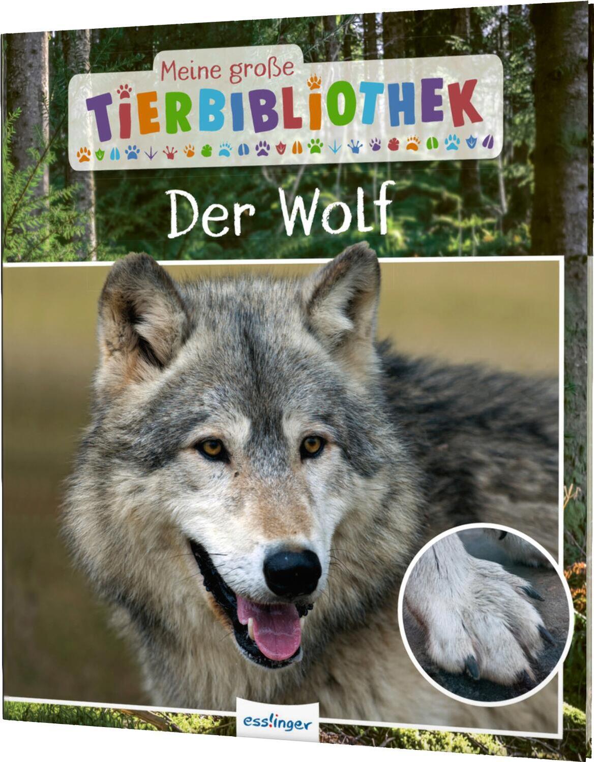 Cover: 9783480236213 | Meine große Tierbibliothek: Der Wolf | Christian Havard | Buch | 30 S.