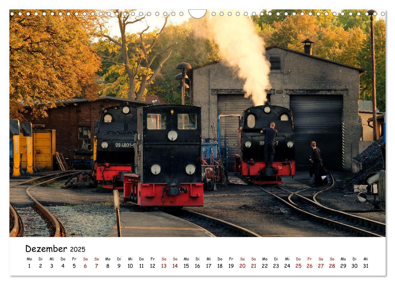 Bild: 9783383931697 | Rügens "rasender Roland" (Wandkalender 2025 DIN A3 quer), CALVENDO...