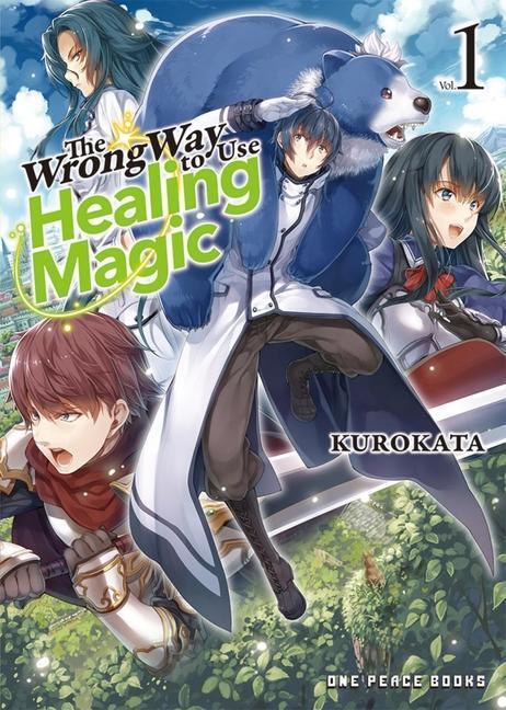 Cover: 9781642732009 | The Wrong Way to Use Healing Magic Volume 1 | Light Novel | Buch