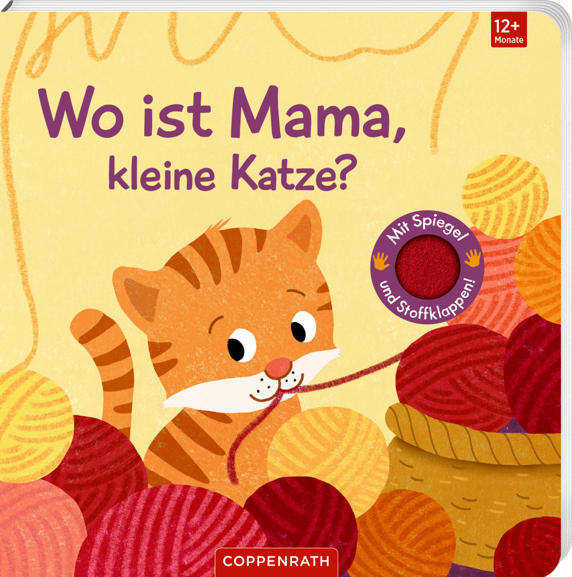 Cover: 9783649642428 | Wo ist Mama, kleine Katze? | Sabine Kraushaar | Buch | 12 S. | Deutsch