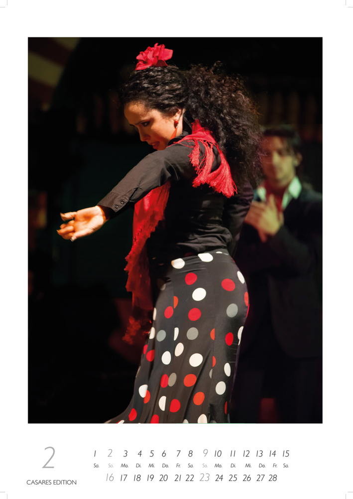 Bild: 9781835241394 | Flamenco color 2025 | H. W. Schawe | Kalender | 14 S. | Deutsch | 2025