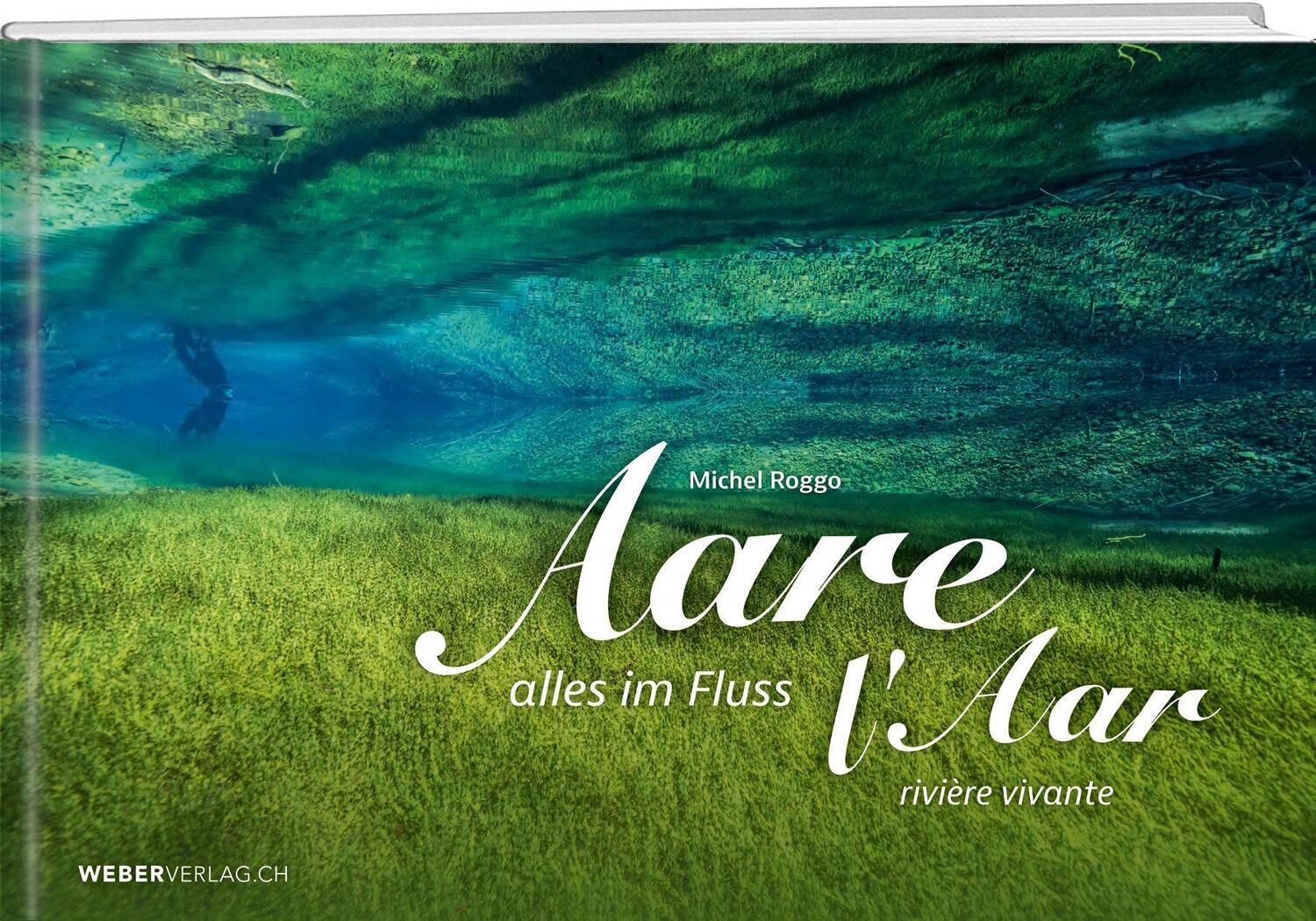 Cover: 9783038185062 | Aare | Alles im Fluss/Rivière vivante | Michel Roggo | Buch | 240 S.