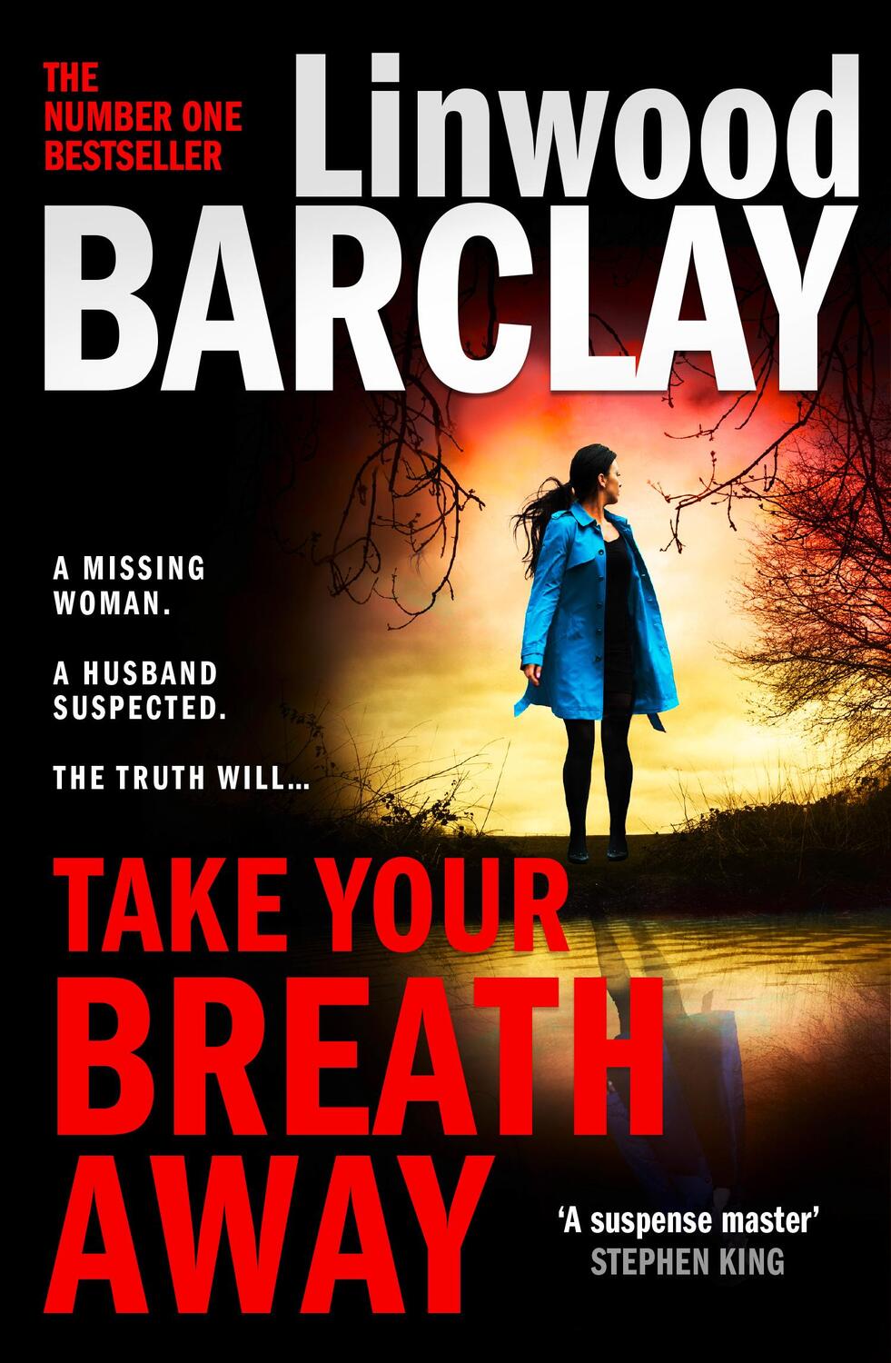Cover: 9780008332136 | Take Your Breath Away | Linwood Barclay | Taschenbuch | Englisch