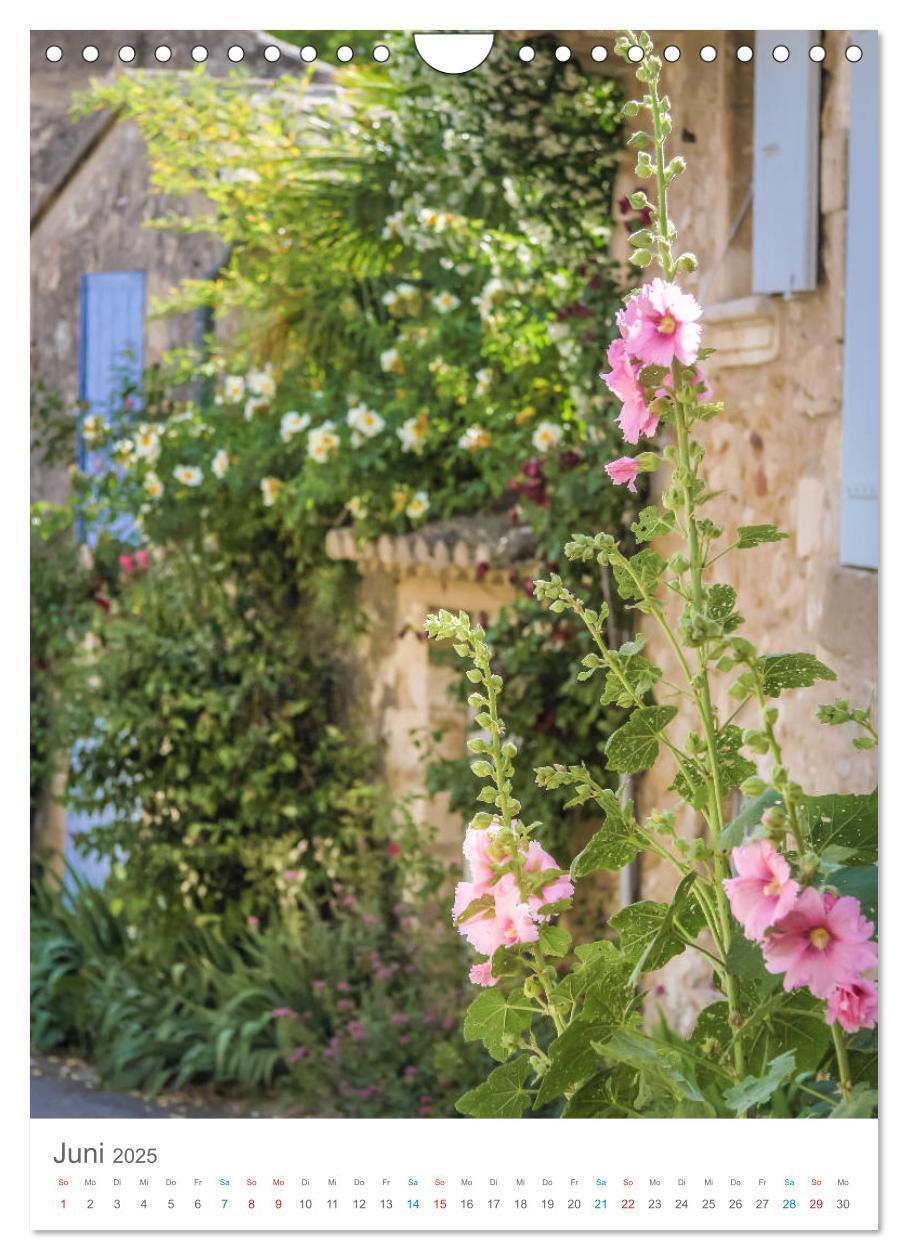 Bild: 9783435987443 | Provence im Licht (Wandkalender 2025 DIN A4 hoch), CALVENDO...