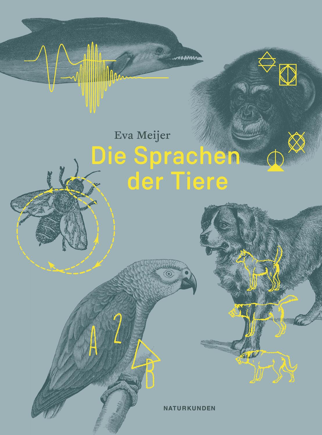 Cover: 9783957575364 | Die Sprachen der Tiere | Eva Meijer | Buch | Naturkunden | 176 S.