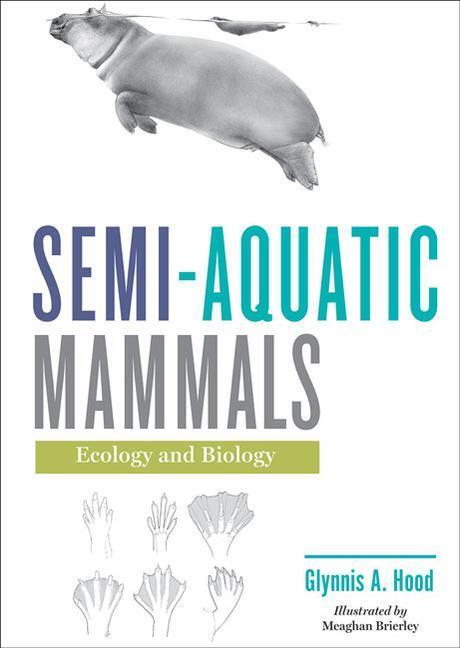 Cover: 9781421438801 | Semi-Aquatic Mammals: Ecology and Biology | Glynnis A. Hood | Buch