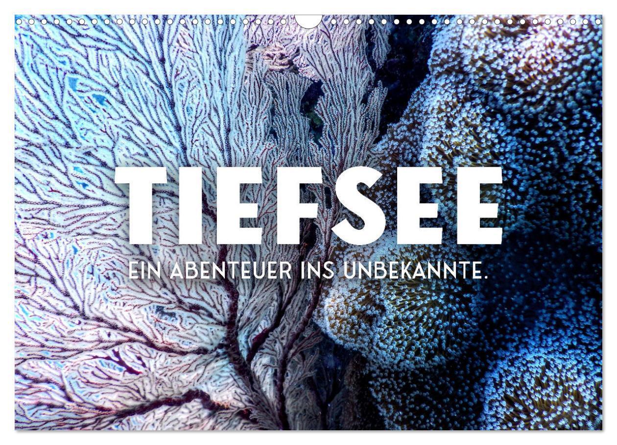 Cover: 9783383938290 | Tiefsee - Ein Abenteuer ins Unbekannte. (Wandkalender 2025 DIN A3...