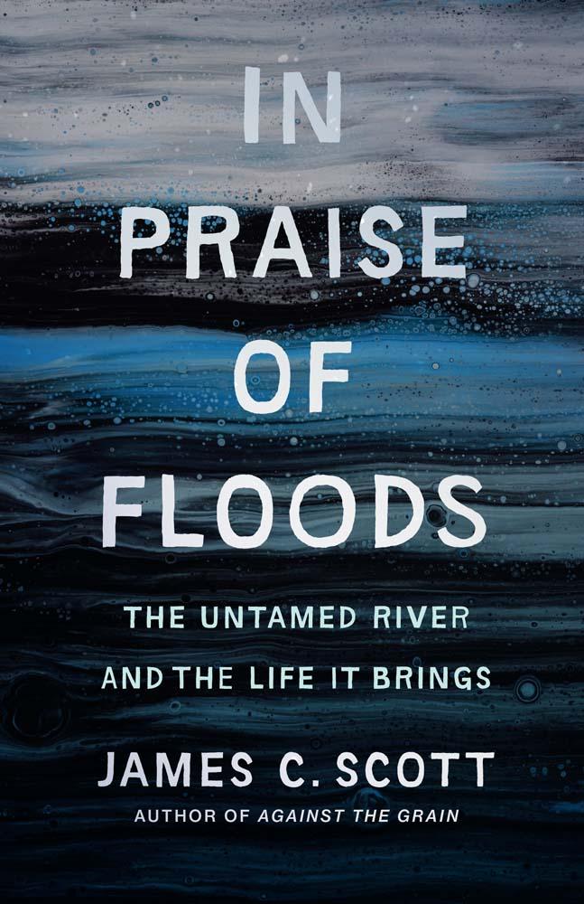 Cover: 9780300278491 | In Praise of Floods | The Untamed River and the Life It Brings | Scott