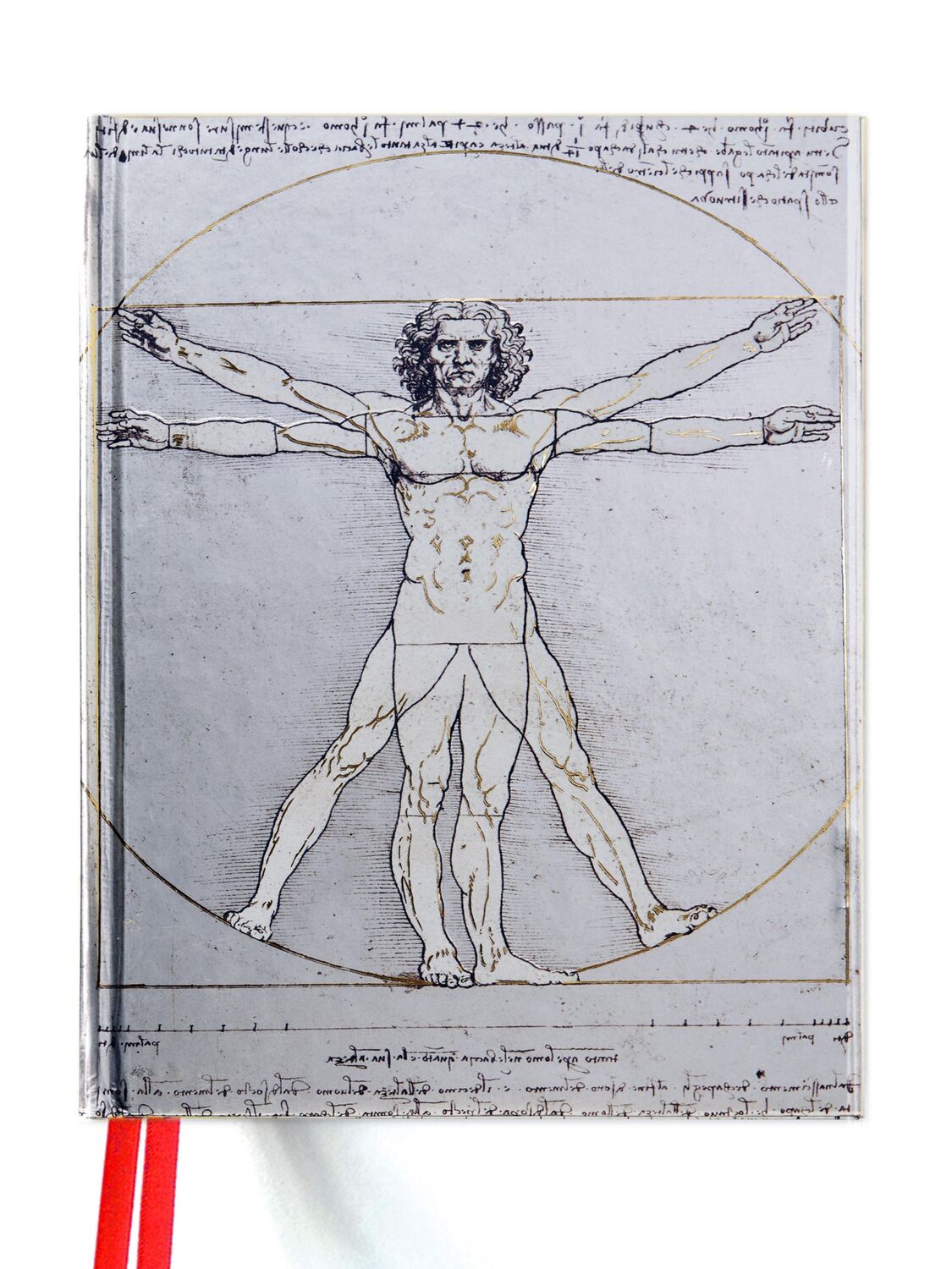 Cover: 9781786640192 | Da Vinci: Vitruvian Man (Blank Sketch Book) | Flame Tree | Buch | 2016