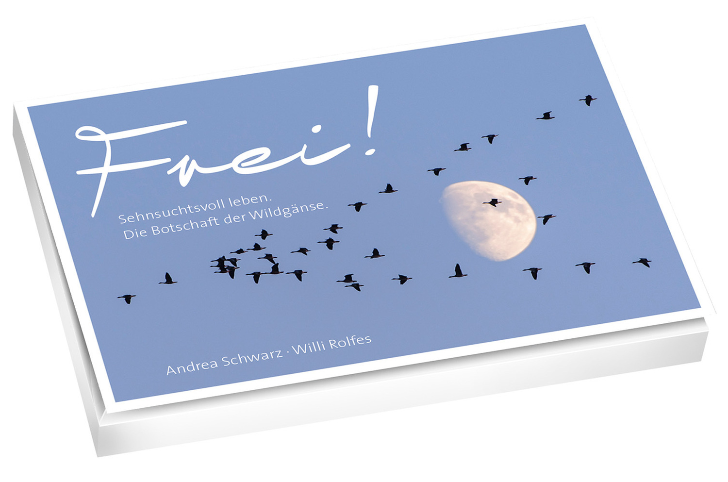Cover: 4250454729439 | Frei! - Postkartenbuch | Andrea Schwarz (u. a.) | 2016 | adeo