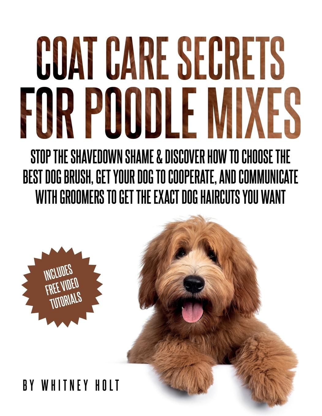 Cover: 9798218208301 | Coat Care Secrets For Poodle Mixes | Whitney Holt | Taschenbuch | 2023