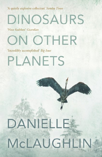 Cover: 9781473613720 | Dinosaurs on Other Planets | Danielle McLaughlin | Taschenbuch | 2020