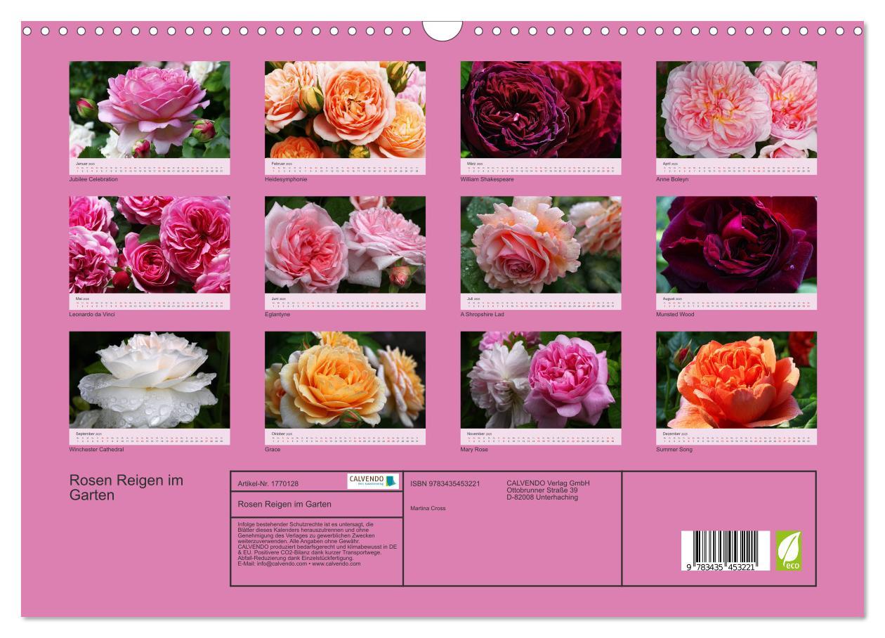 Bild: 9783435453221 | Rosen Reigen im Garten (Wandkalender 2025 DIN A3 quer), CALVENDO...