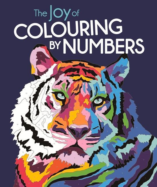 Cover: 9781789295030 | The Joy of Colouring by Numbers | Felicity French (u. a.) | Buch