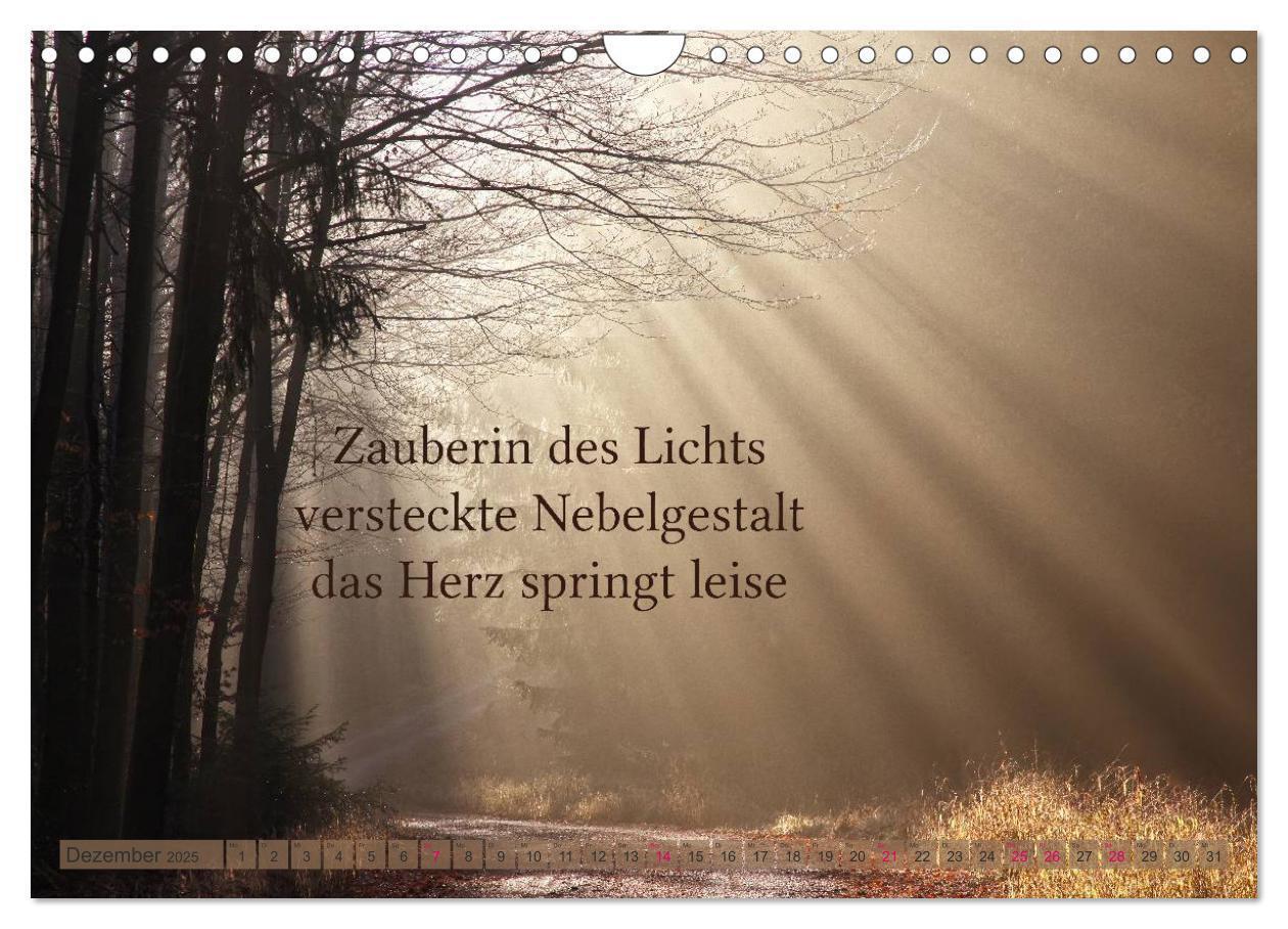 Bild: 9783435734108 | Haiku - Gedichte in 17 Silben (Wandkalender 2025 DIN A4 quer),...