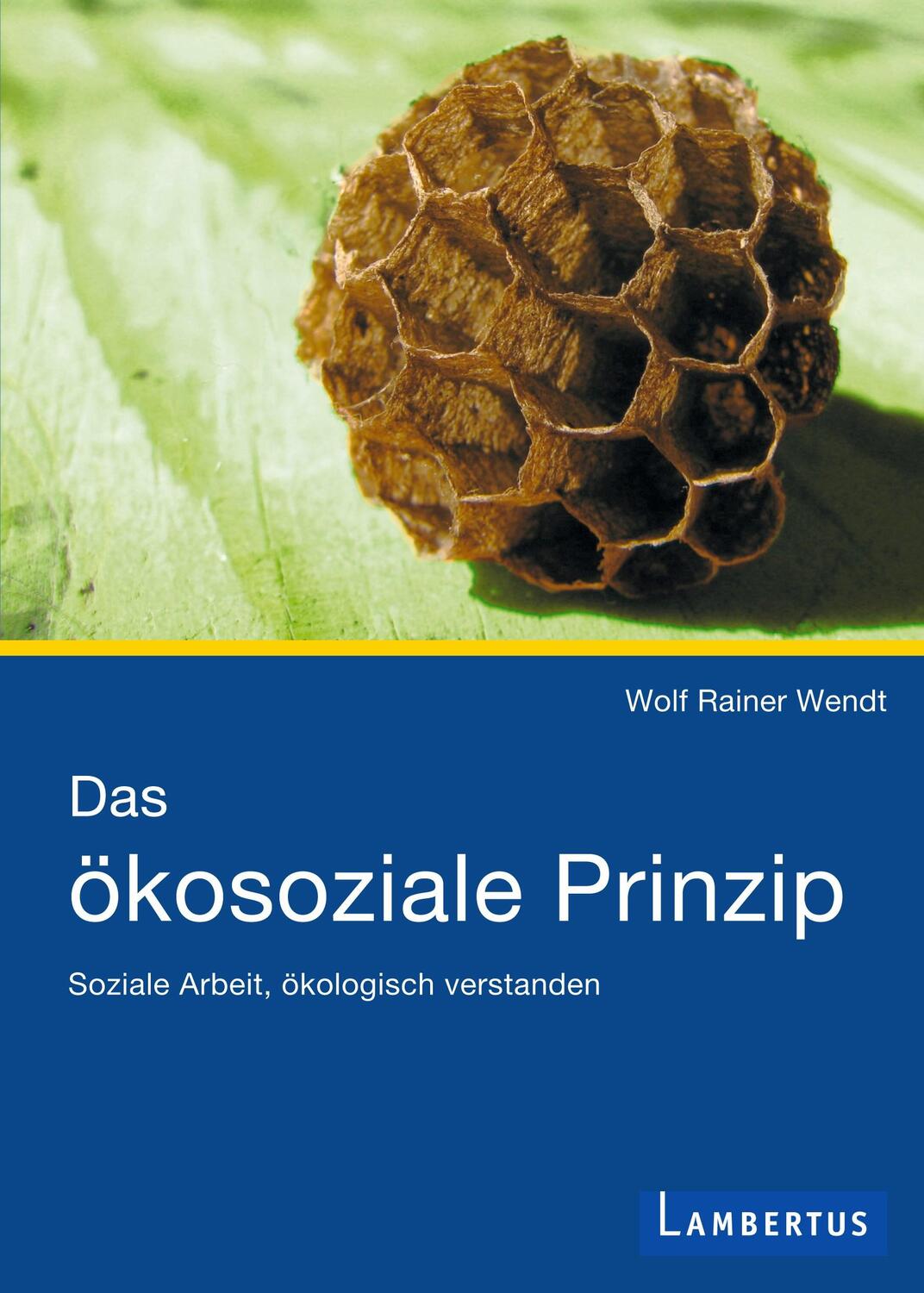 Cover: 9783784119571 | Das ökosoziale Prinzip | Soziale Arbeit, ökologisch verstanden | Wendt