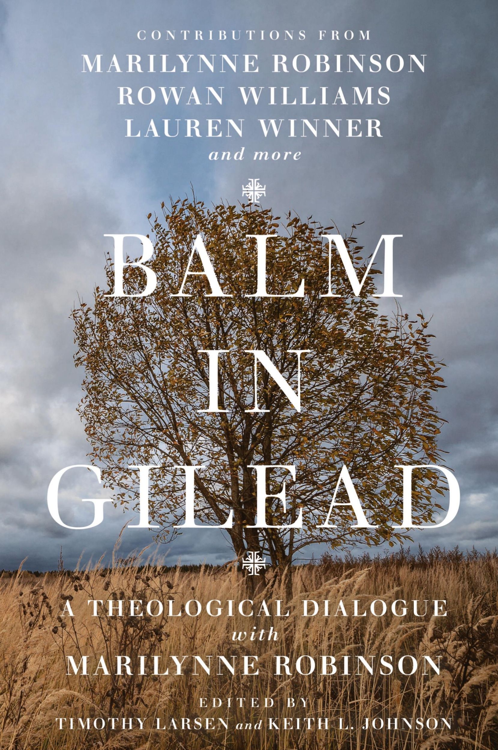 Cover: 9780830853182 | Balm in Gilead | A Theological Dialogue with Marilynne Robinson | Buch