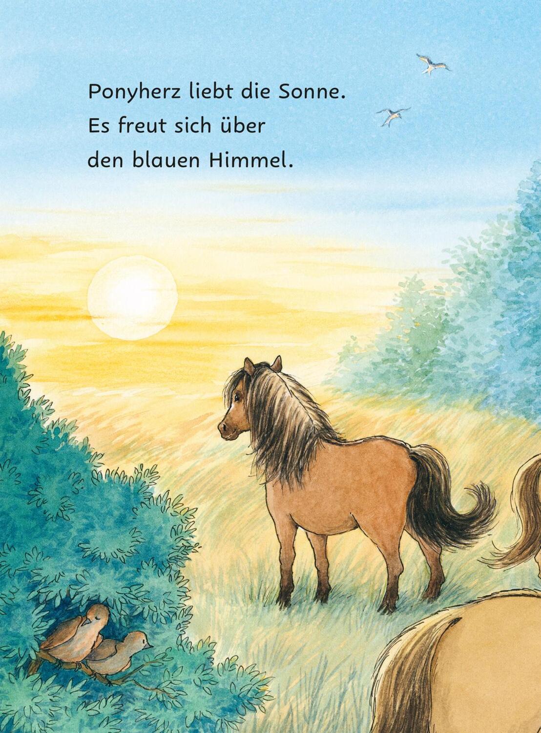 Bild: 9783551690838 | Ponyherz und Herr Franz: Die geklaute Wurst | Usch Luhn | Buch | 64 S.