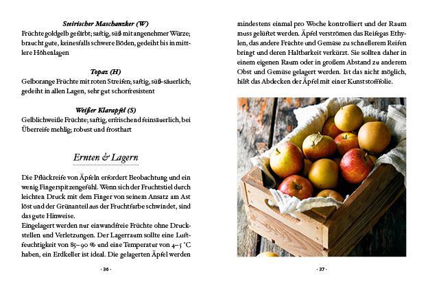 Bild: 9783710403071 | Das große kleine Buch: Obstbäume in unserem Garten | Elke Papouschek