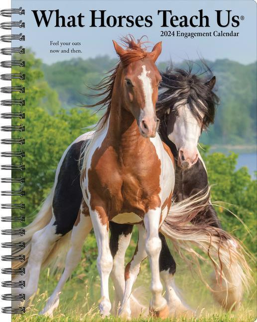 Cover: 9781549237942 | What Horses Teach Us 2024 6.5 X 8.5 Engagement Calendar | Press | 2024