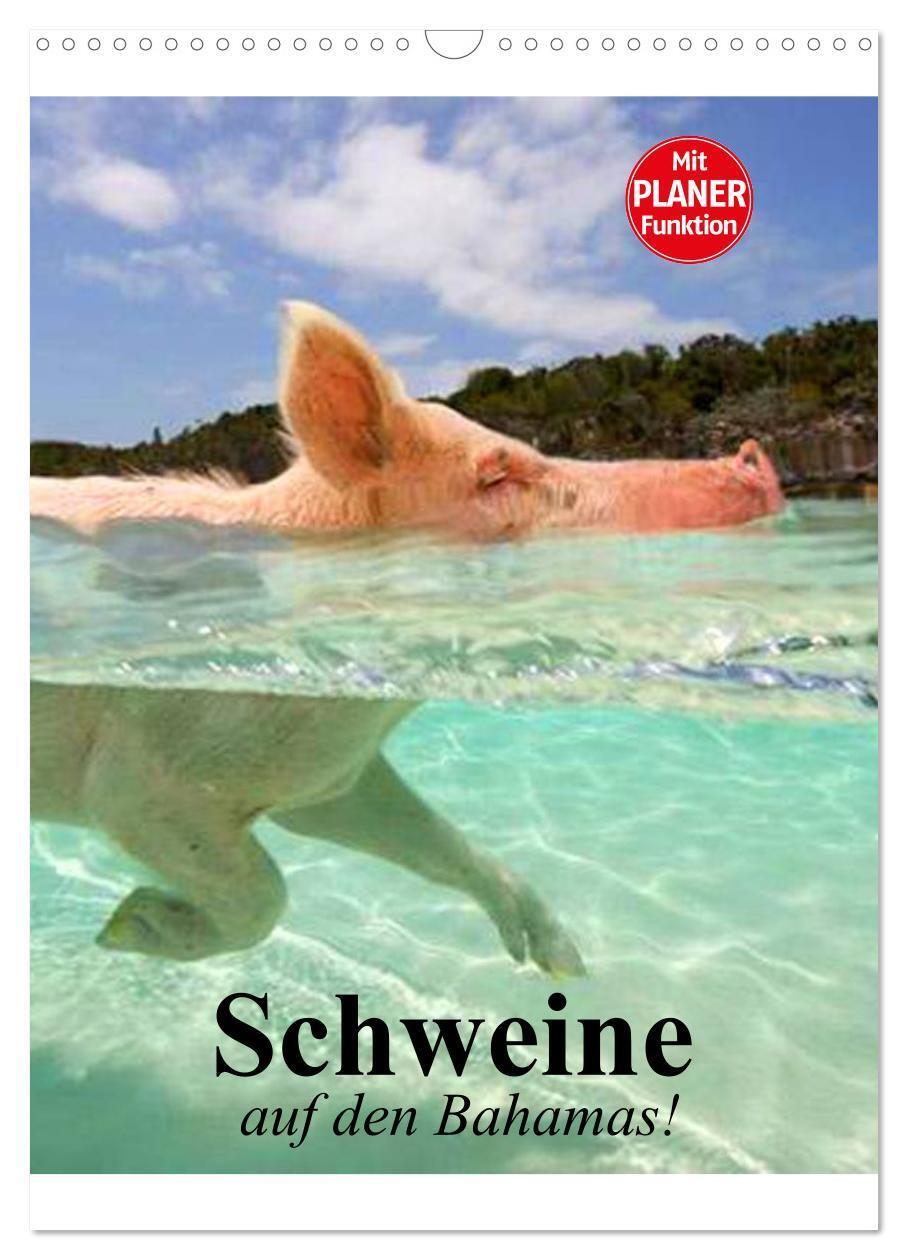 Cover: 9783675762459 | Schweine auf den Bahamas! (Wandkalender 2024 DIN A3 hoch), CALVENDO...