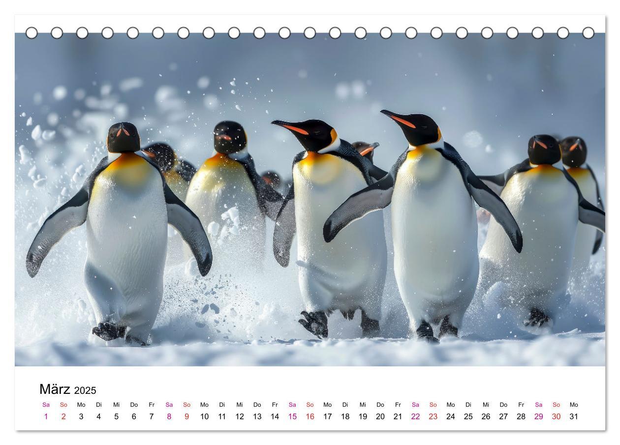 Bild: 9783457164471 | Maritim pur - Pinguine (Tischkalender 2025 DIN A5 quer), CALVENDO...