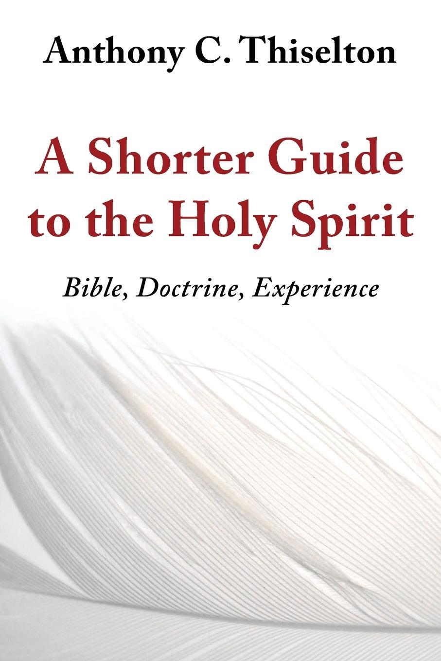 Cover: 9780802873491 | Shorter Guide to the Holy Spirit | Bible, Doctrine, Experience | Buch