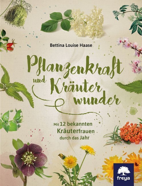 Cover: 9783990253335 | Pflanzenkraft und Kräuterwunder | Bettina L. Haase | Buch | 160 S.