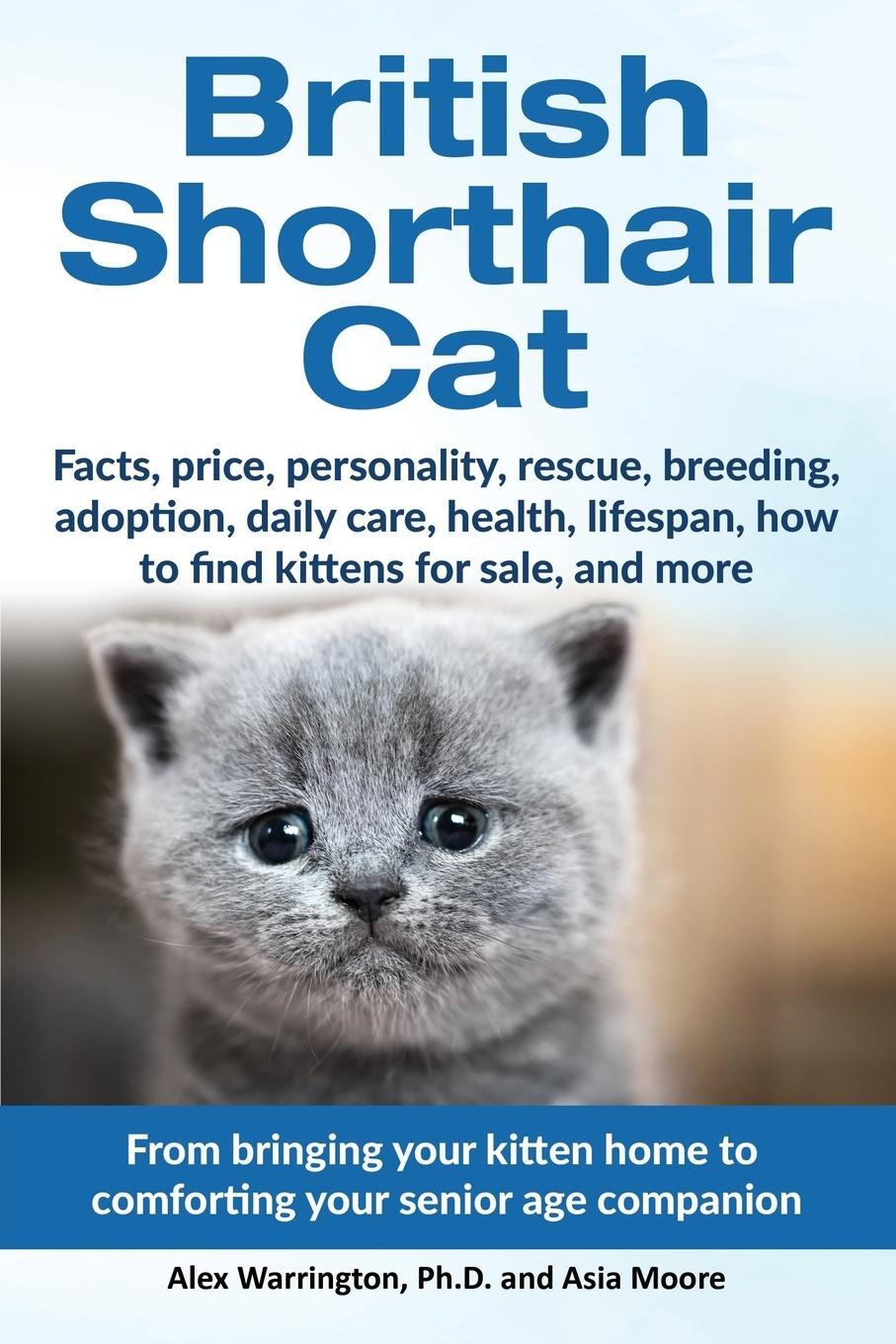Cover: 9781999913571 | British Shorthair Cat | Alex Warrington Ph. D. (u. a.) | Taschenbuch