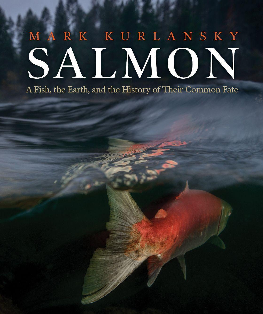 Cover: 9781938340864 | Salmon | A Fish, the Earth, and the History of a Common Fate | Buch