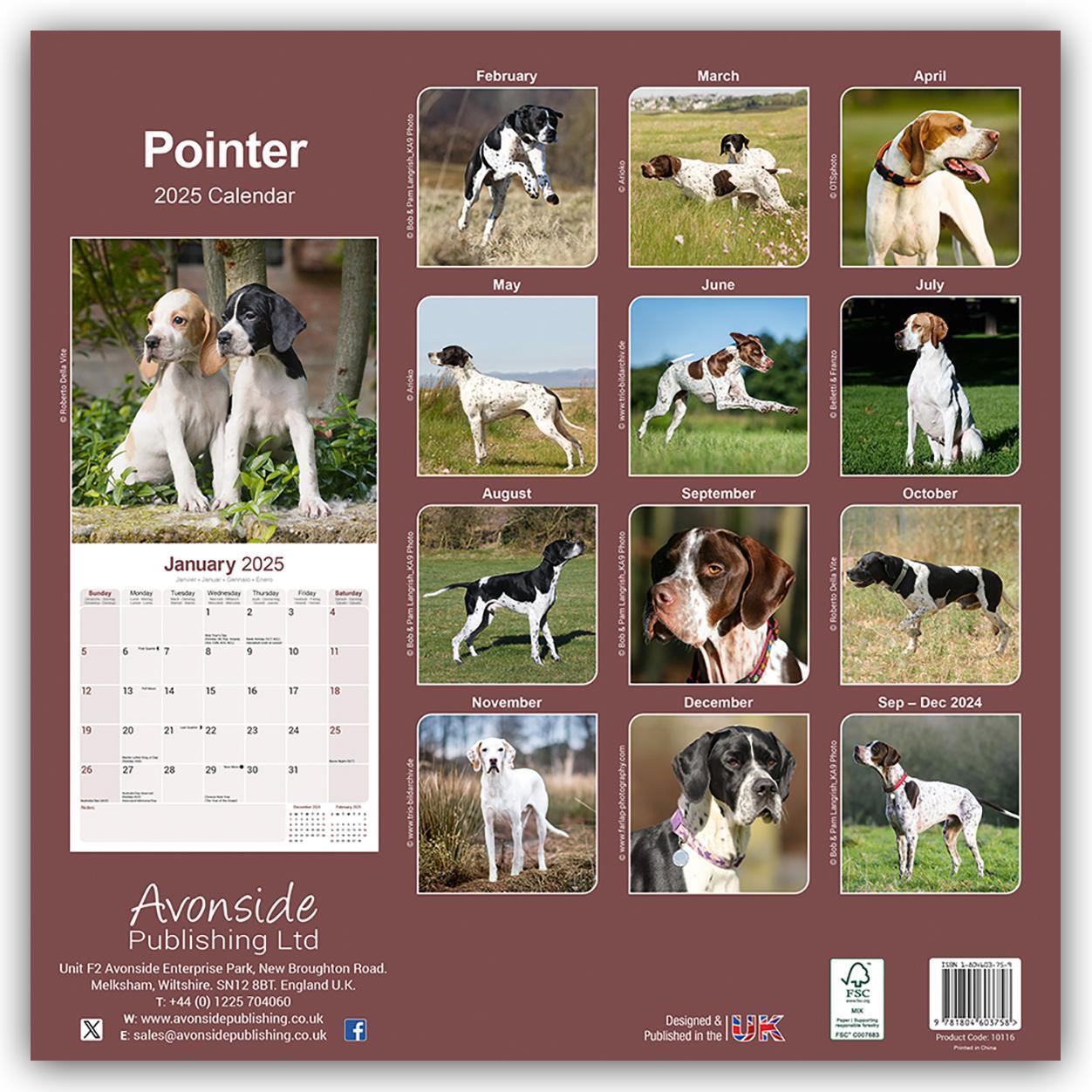 Rückseite: 9781804603758 | Pointer 2025 - 16-Monatskalender | Avonside Publishing Ltd | Kalender