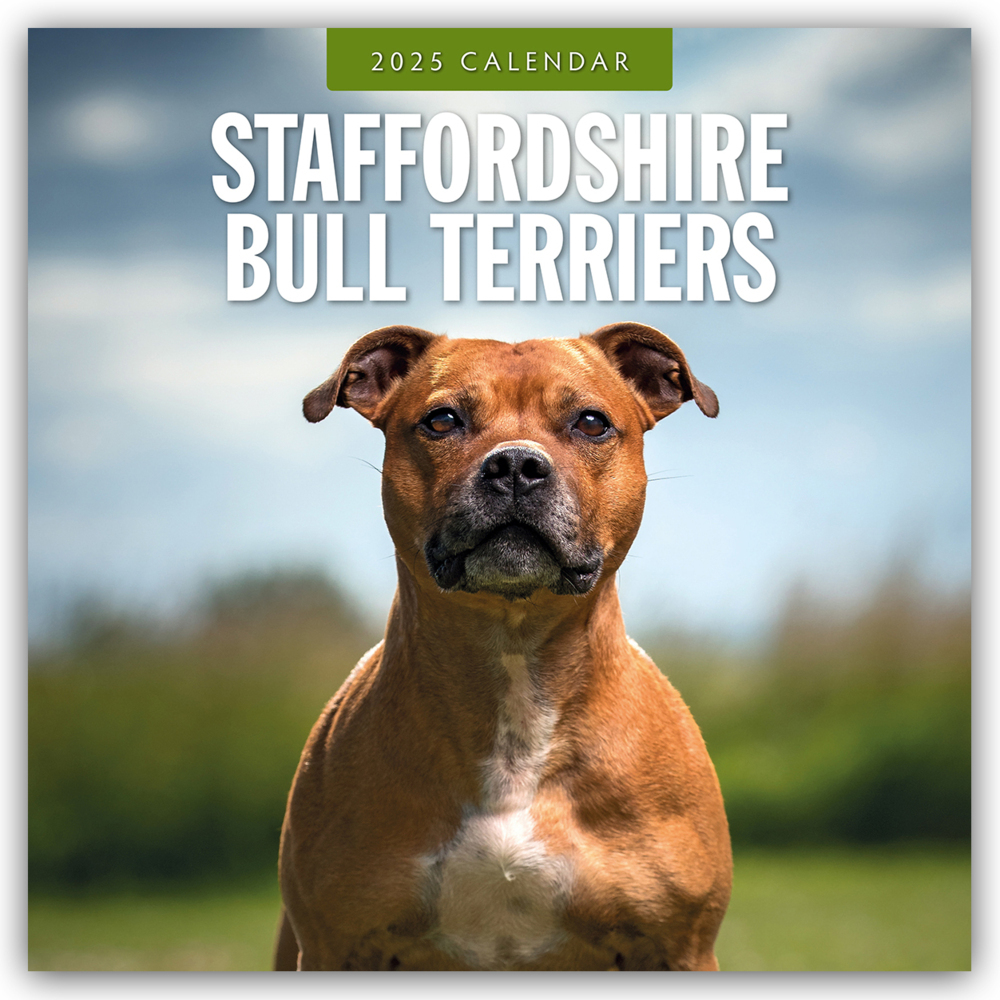 Cover: 9781804425152 | Staffordshire Bull Terriers - Staffordshire Bullterrier 2025 -...