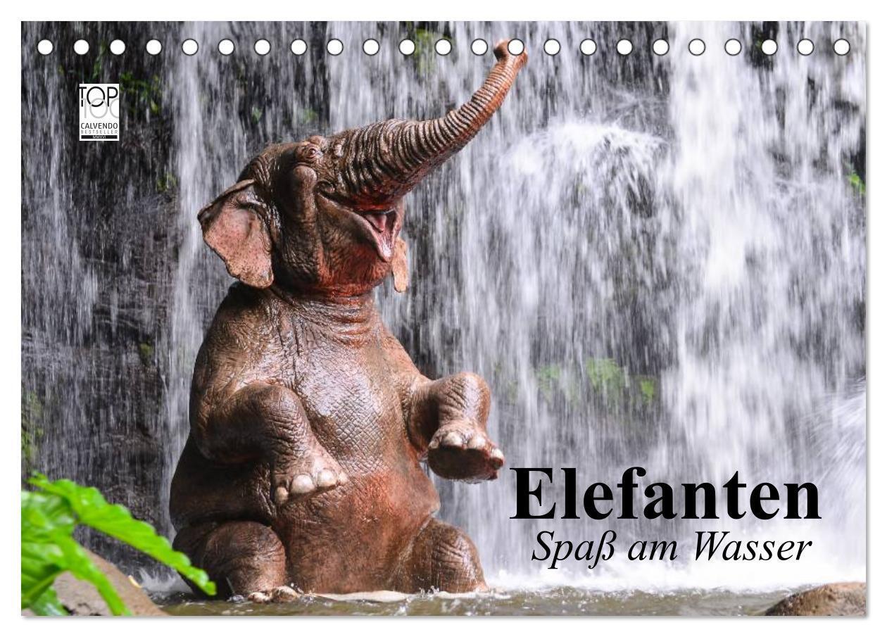 Cover: 9783675582415 | Elefanten. Spaß am Wasser (Tischkalender 2024 DIN A5 quer),...